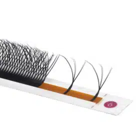 Double 3W lash