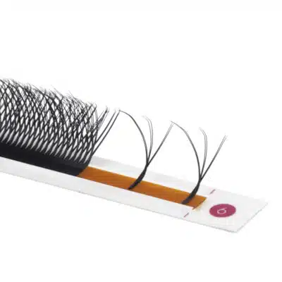 Double 3D W lash