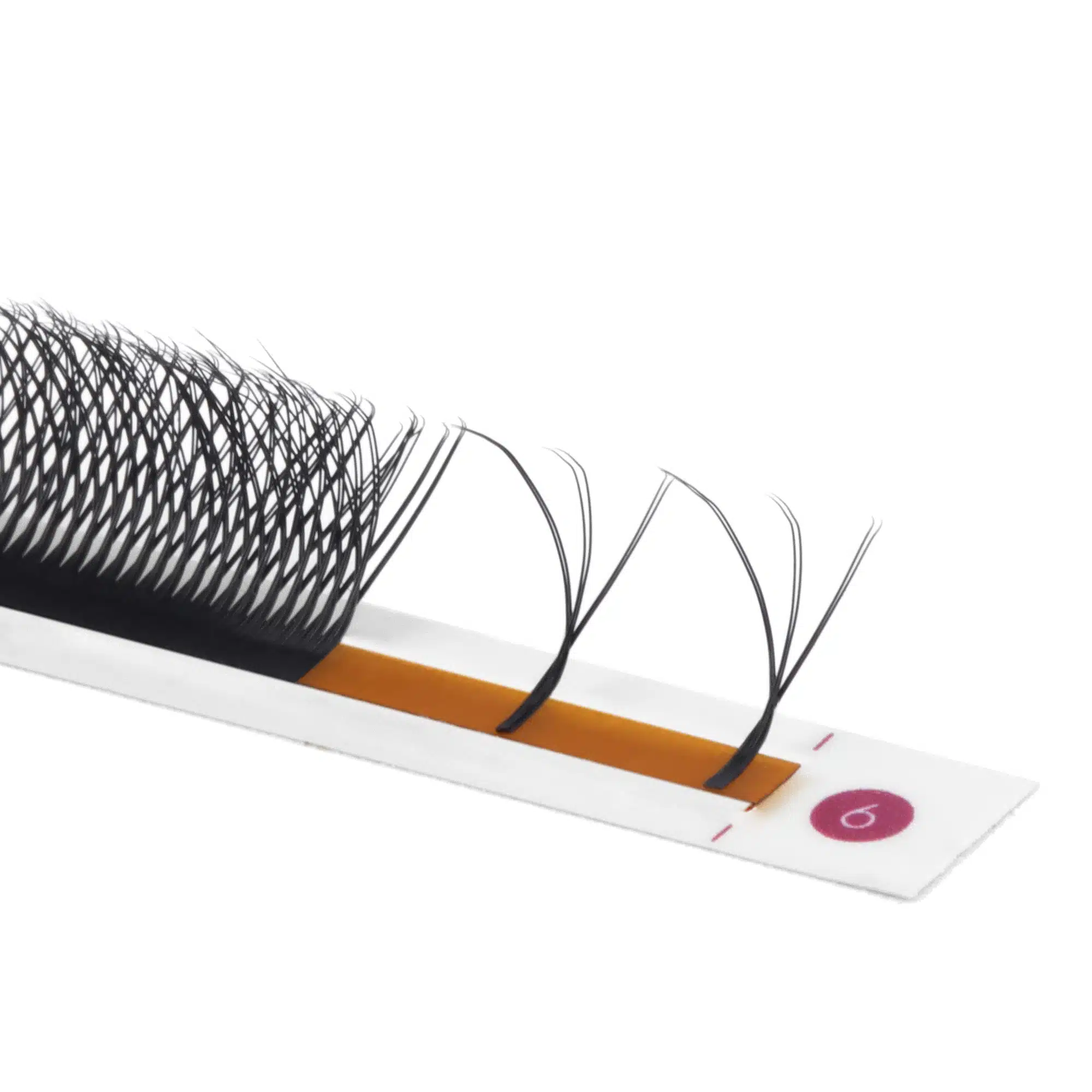 Double 3W lash