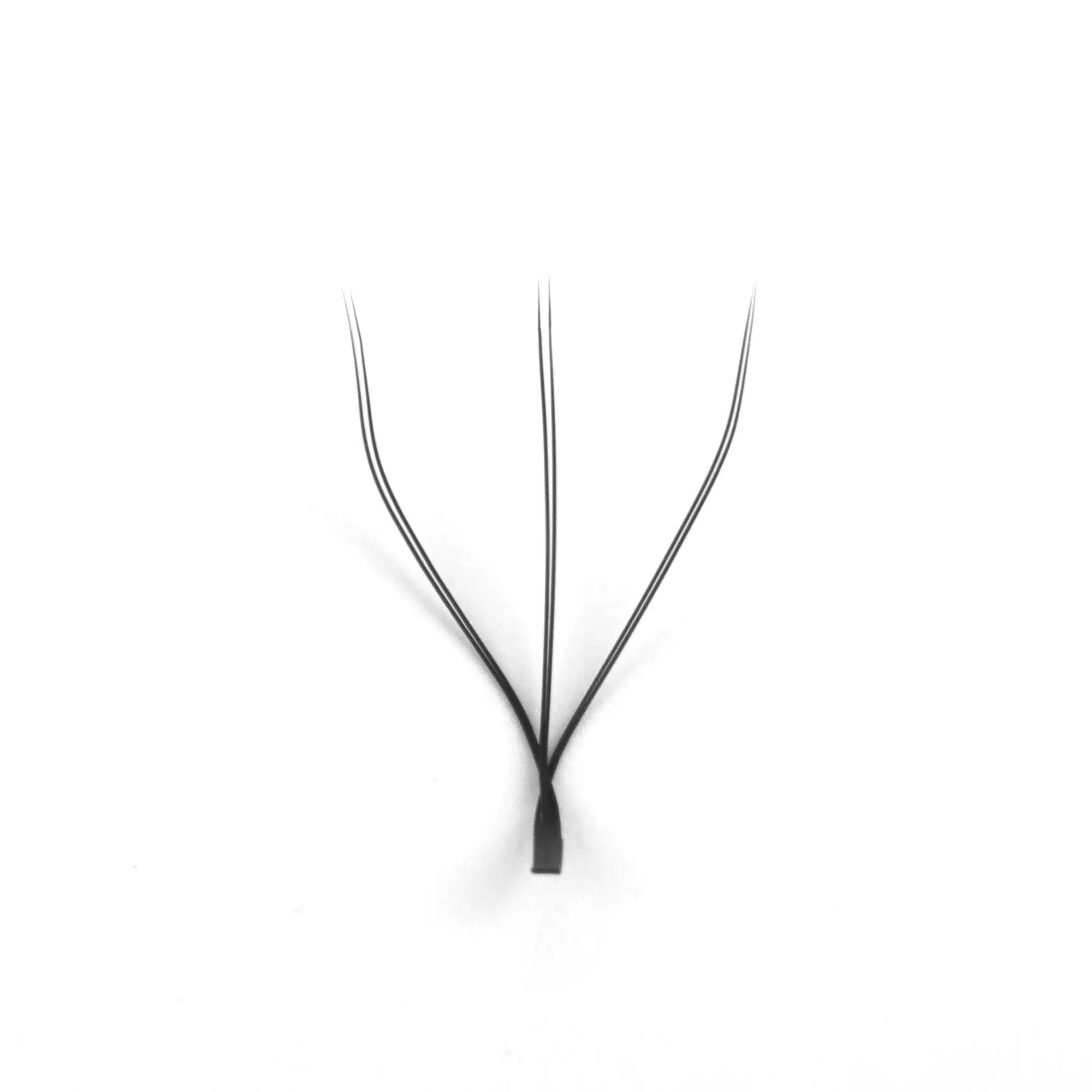 Introduce all types of W lash extensions Double 3W lash extensions