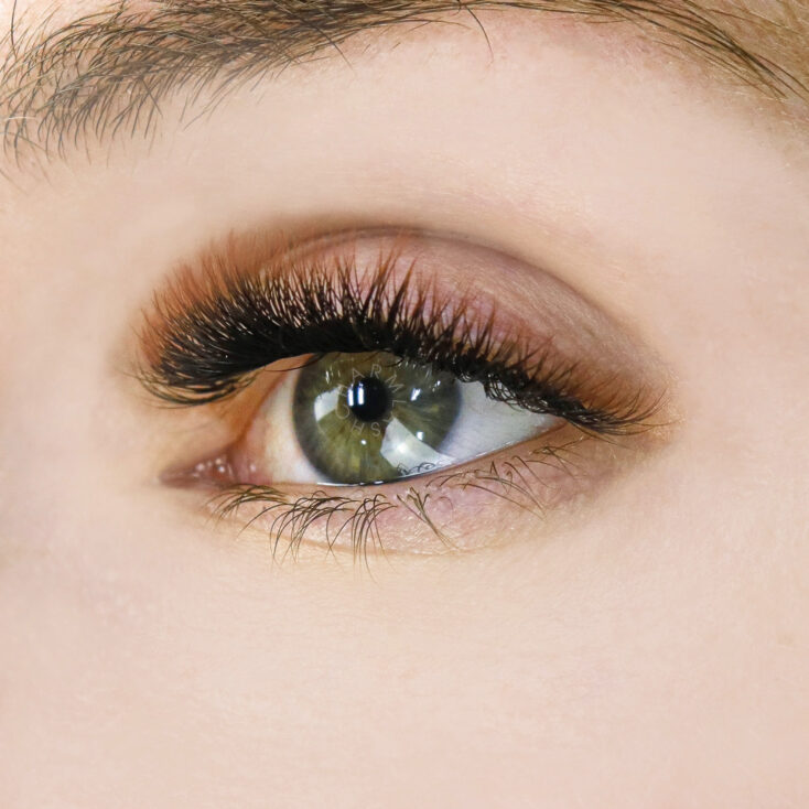 Ombre brown colorful lashes: Warm and Cozy