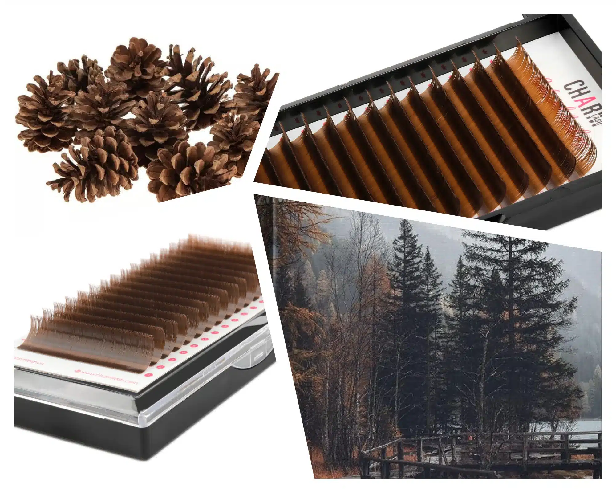 12 shades of brown - A perfect alternative for black lashes pecan brown lashes