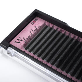 5D W lashes 10