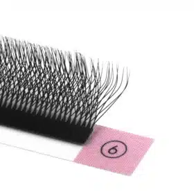 5D W lashes 12