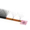 5D W lashes (15)