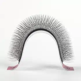 5D W lashes (18)