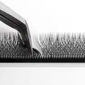 5D W lashes 19