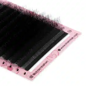 5D W lashes 5