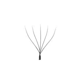 5D W lashes 6