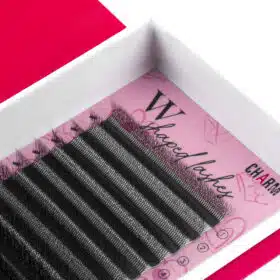5D W lashes (7)