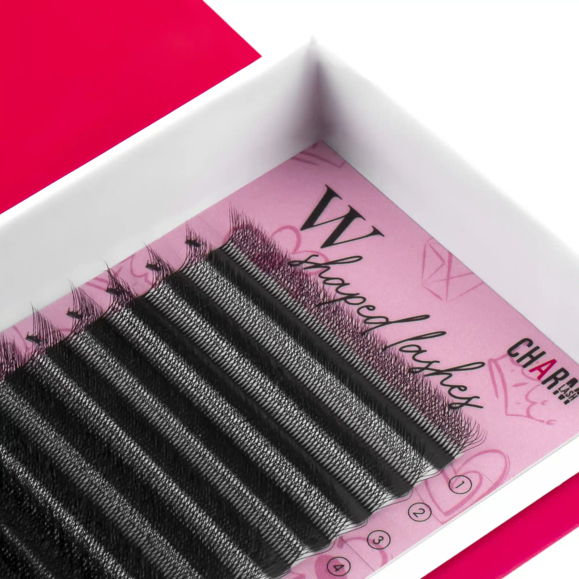 5D W lashes (7)