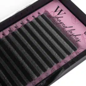 5D W lashes 8