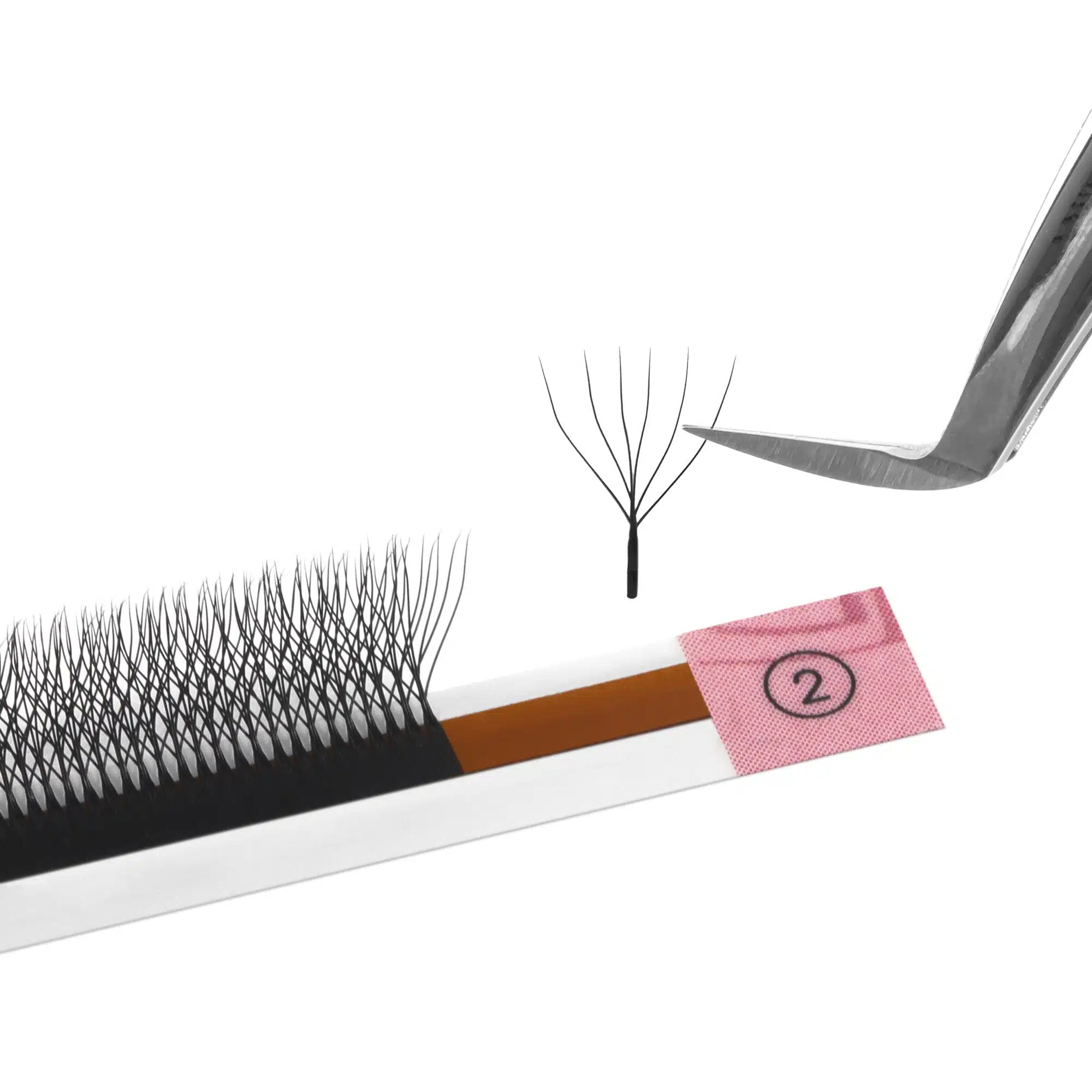 6D W lashes (14)