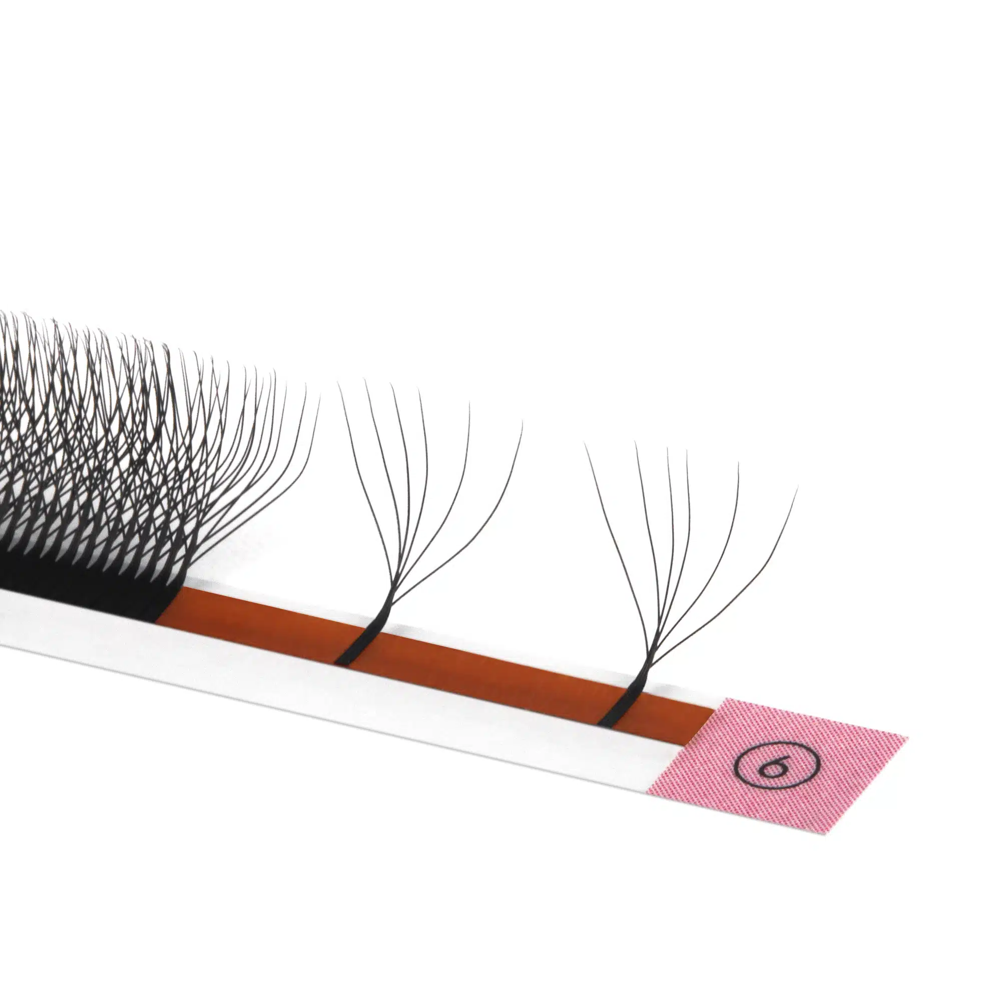 6D W lashes (16)