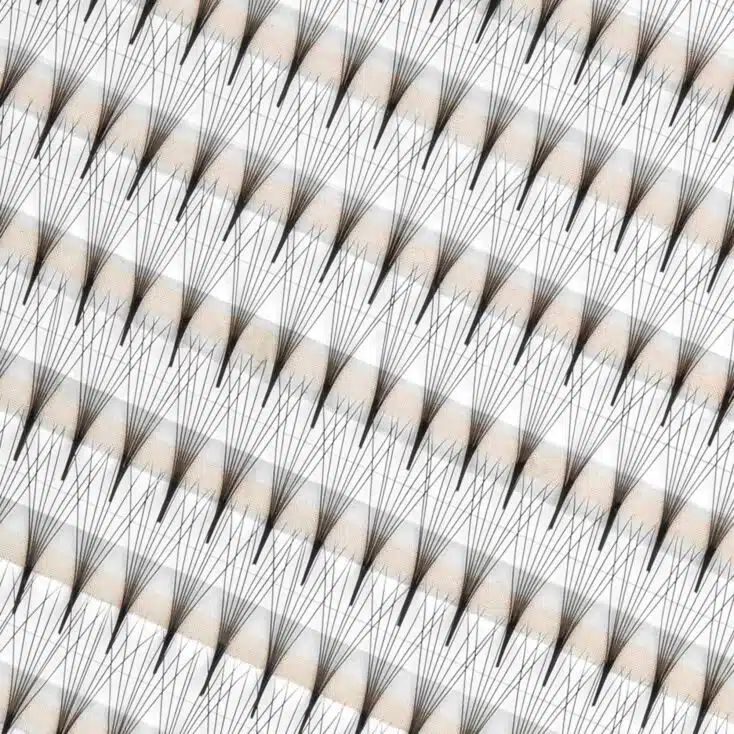 8D premade narrow fans (1)