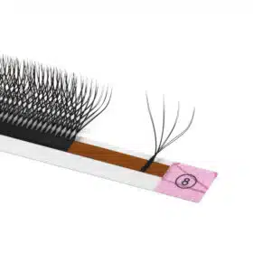 Double 4D W lashes 4