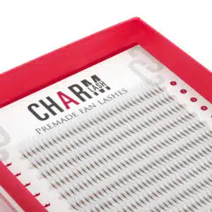 premade narrow fan lashes 5D (2)