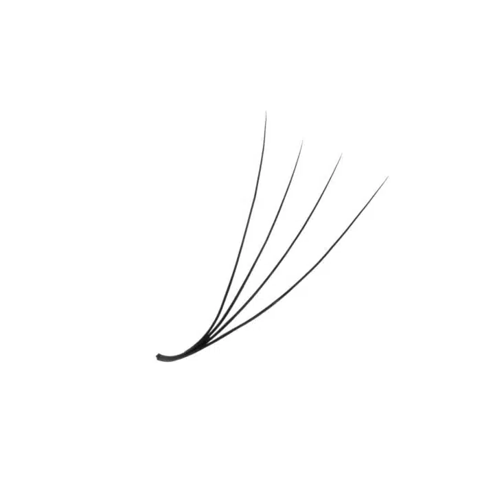 Premade wide fan 4D Premade wide fan 4D