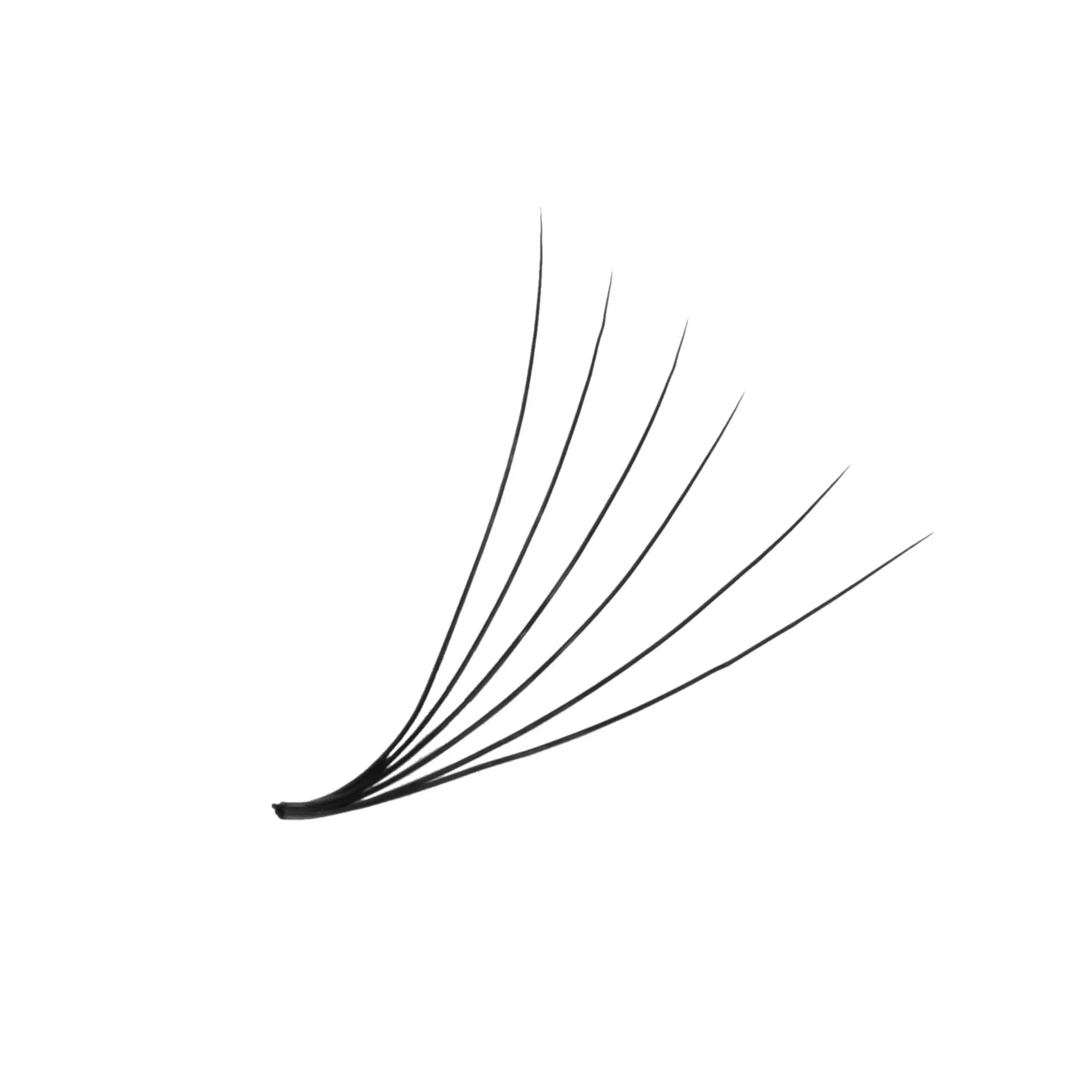 Premade wide fan 6D