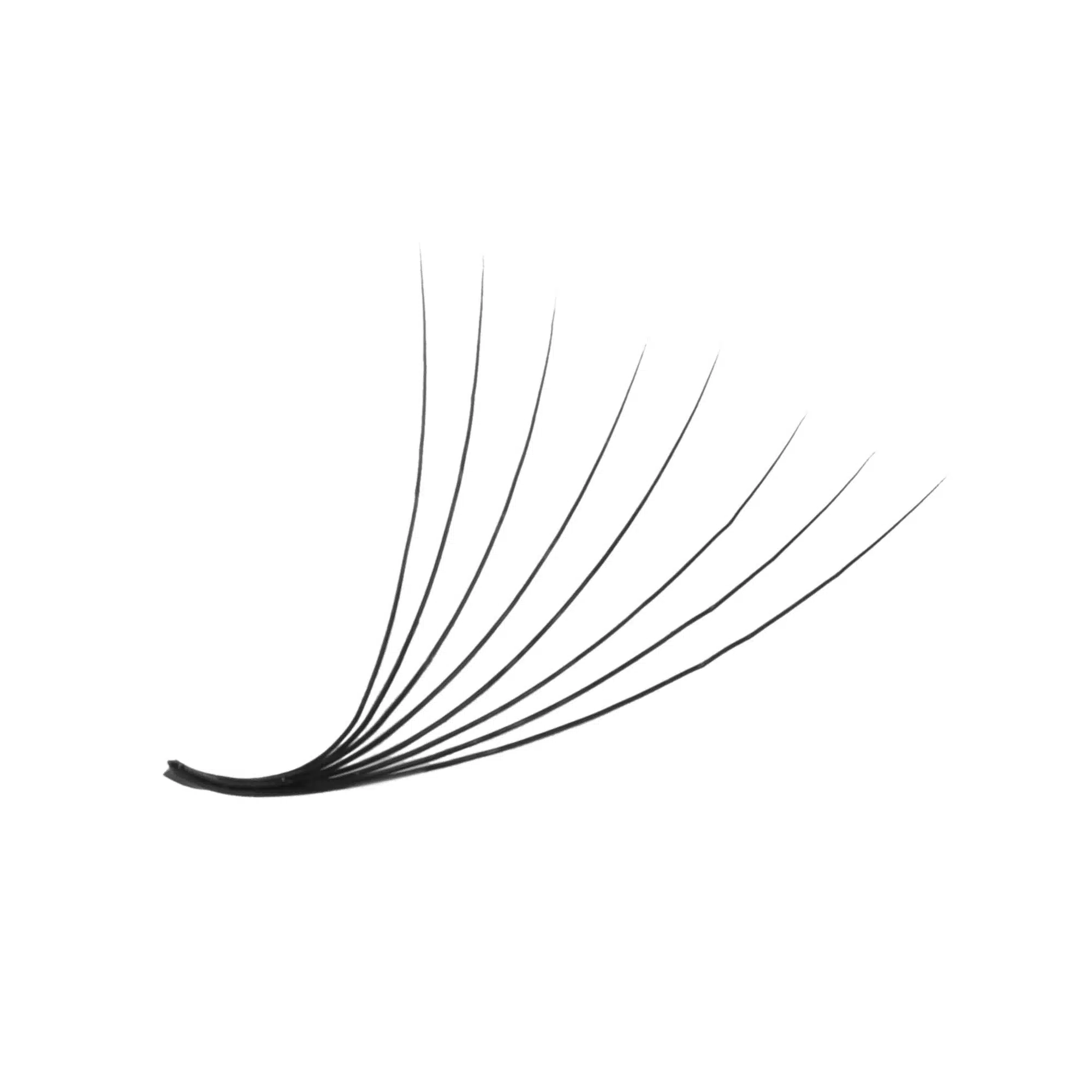Premade wide fan 8D