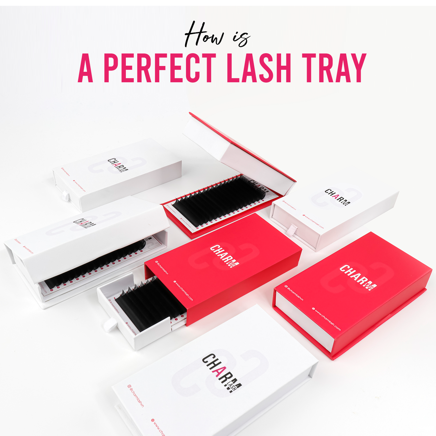 how is a perfect lash tray