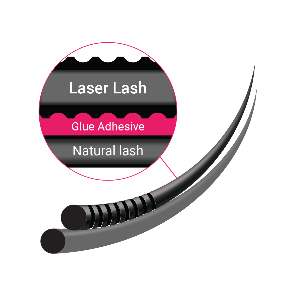 laser lash attachment - 3D view