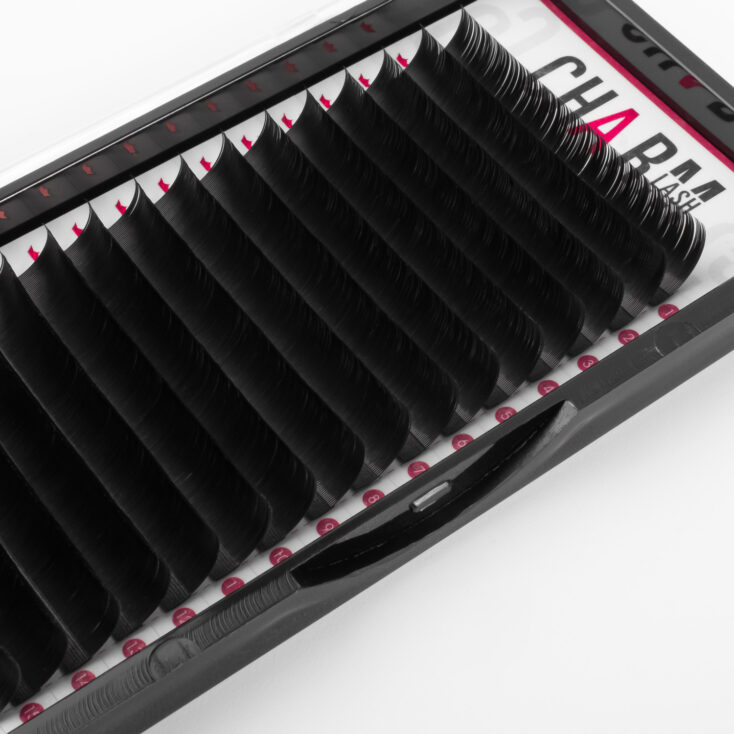 CharmLash – Top Global Eyelash Extension Wholesale Manufacturer