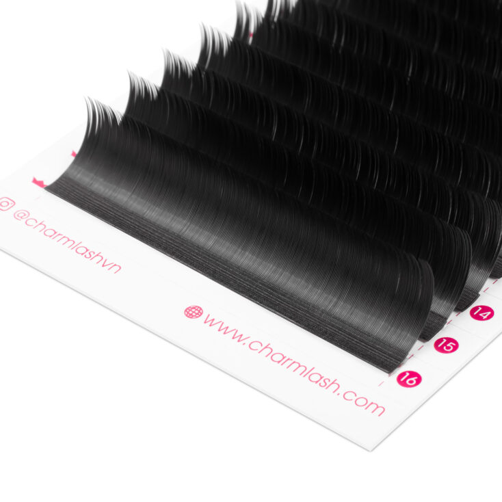 CharmLash – Top Global Eyelash Extension Wholesale Manufacturer