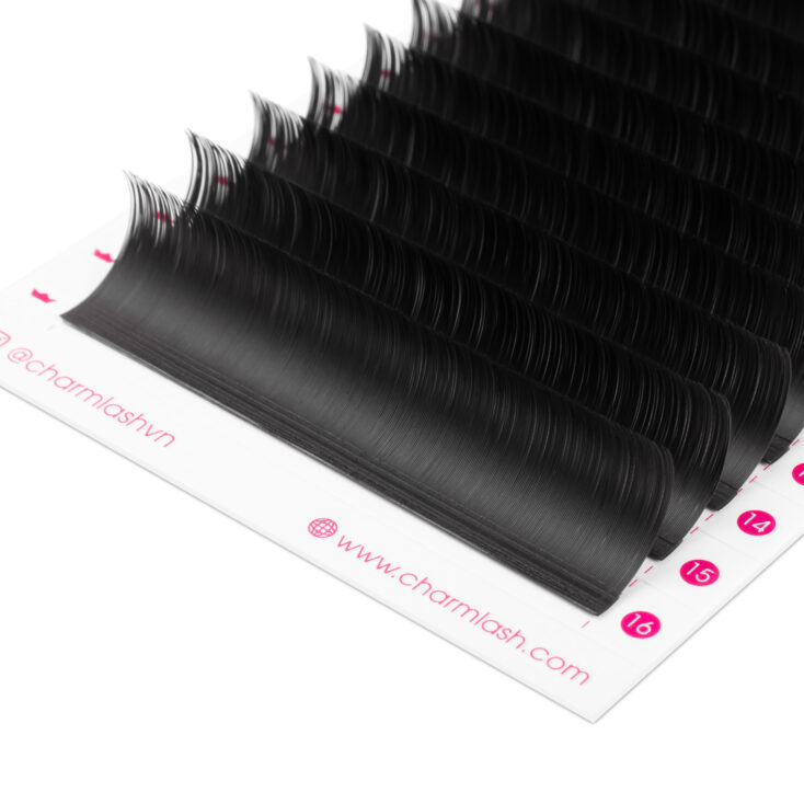 CharmLash – Top Global Eyelash Extension Wholesale Manufacturer