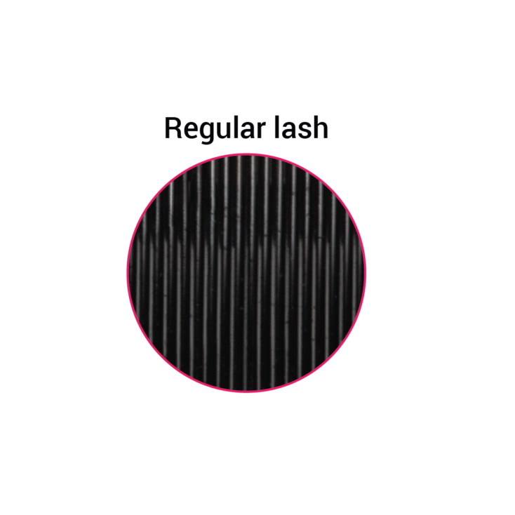 CharmLash – Top Global Eyelash Extension Wholesale Manufacturer