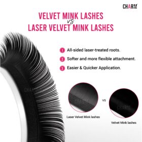 Velvet Mink vs Laser Velvet Mink Lashes - Charmlash