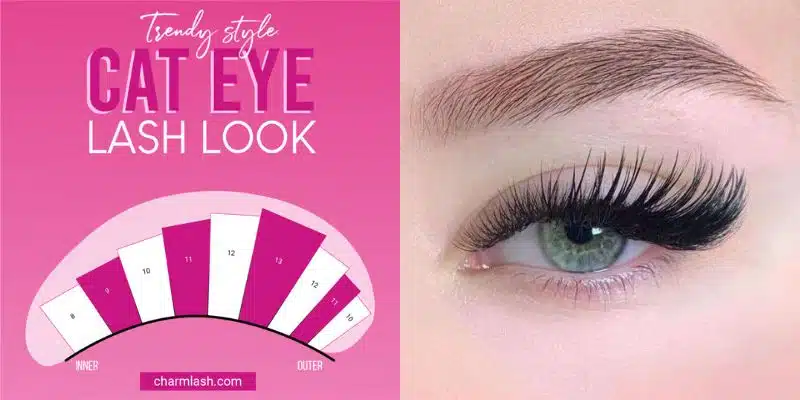 Choosing The Best Eyelash Extensions For Small Eyes cat eyelash extensions for small eyes