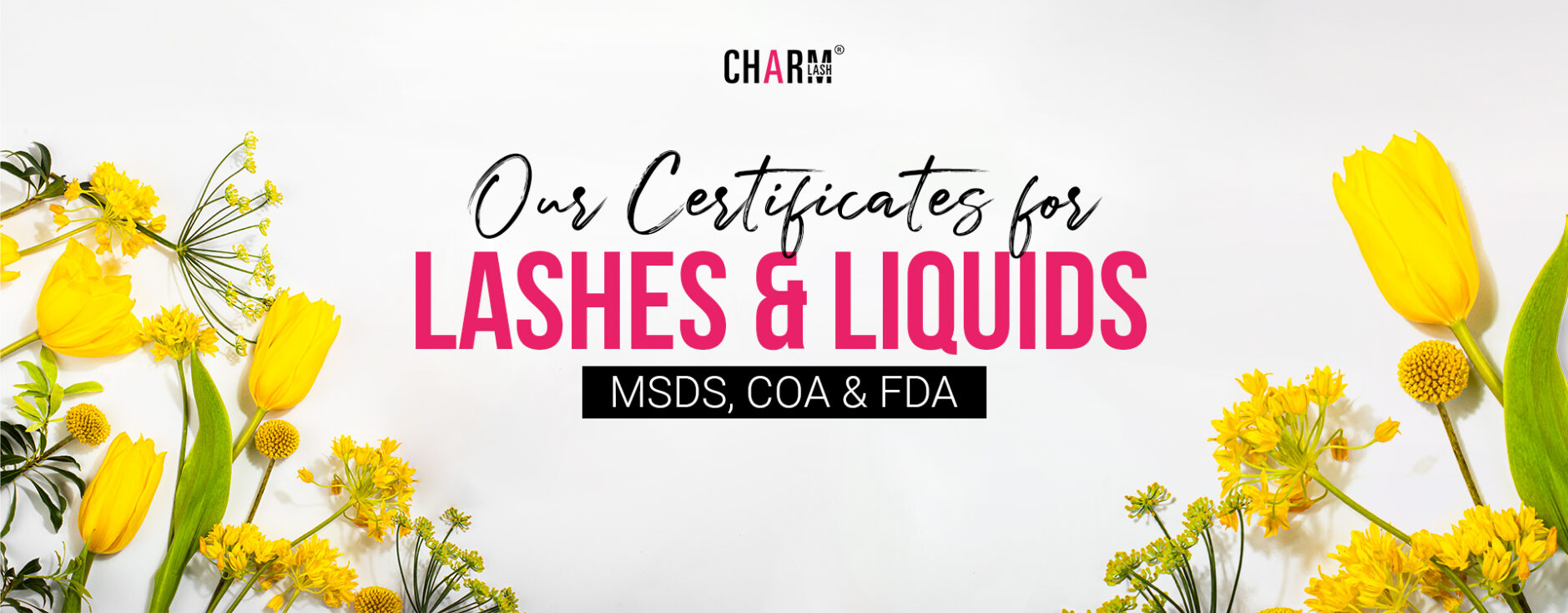 CharmLash – Top Global Eyelash Extension Wholesale Manufacturer