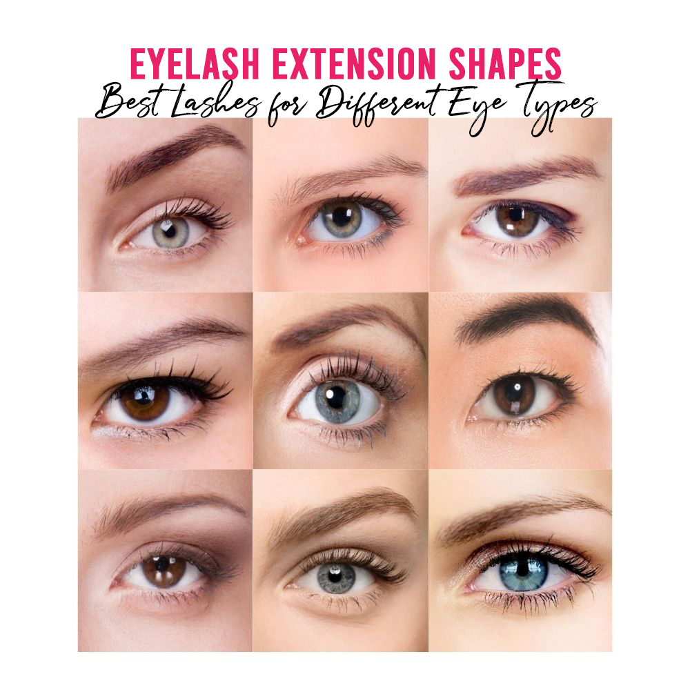 Types of eyelids online