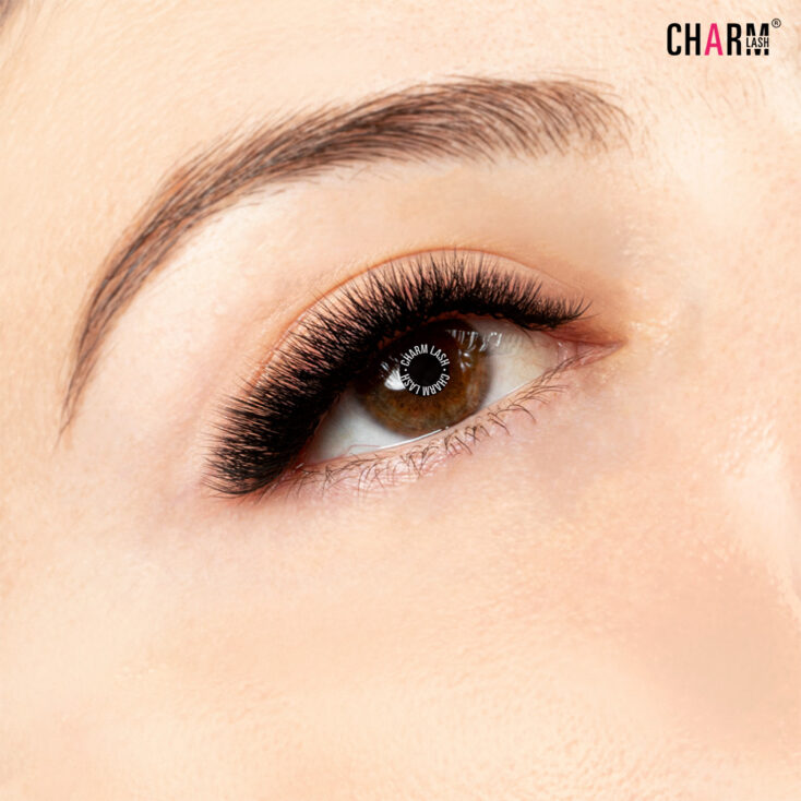 What Makes CC Curl Lash Extensions the Top Choice for Lash Lovers? Outcome Cashmere Silk Lashes CC Curl