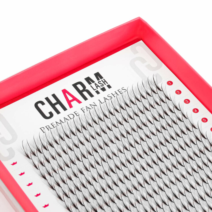 Wispy premade fans lashes