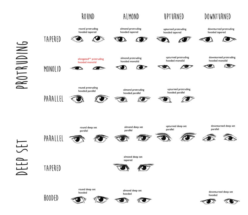 consultation - evaluating the client’s eye shape
