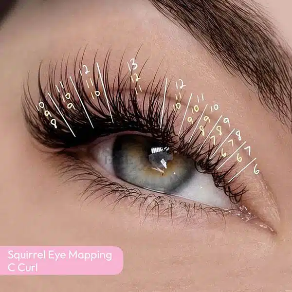 Elevate Your Beauty with Upturned Eyes Lash Extensions squirrel eyelash extensions