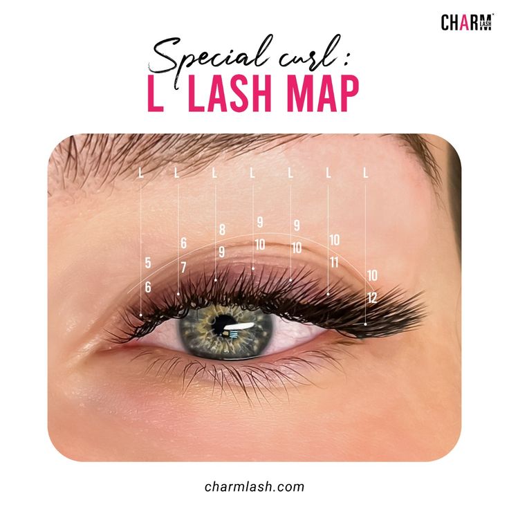 L curl lash map