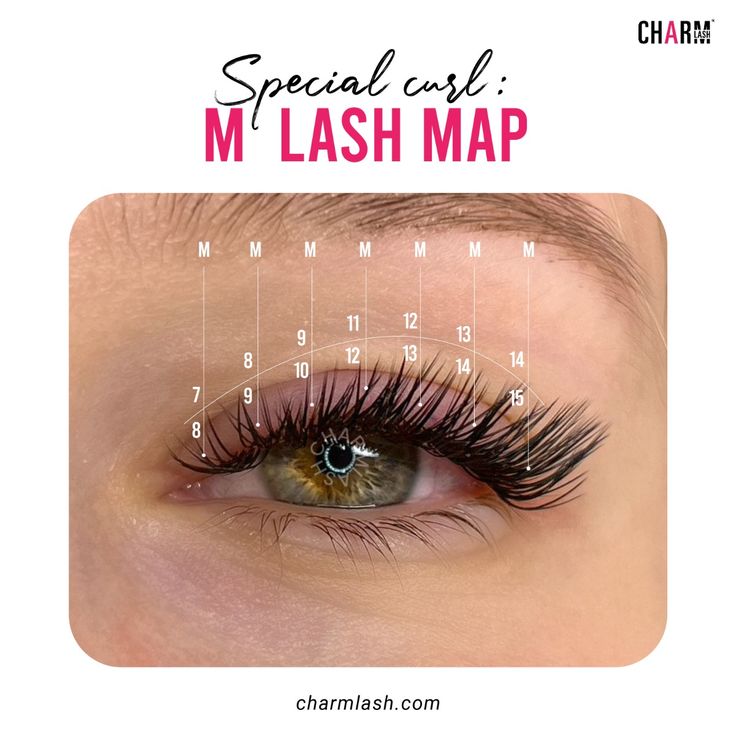 M curl lash map