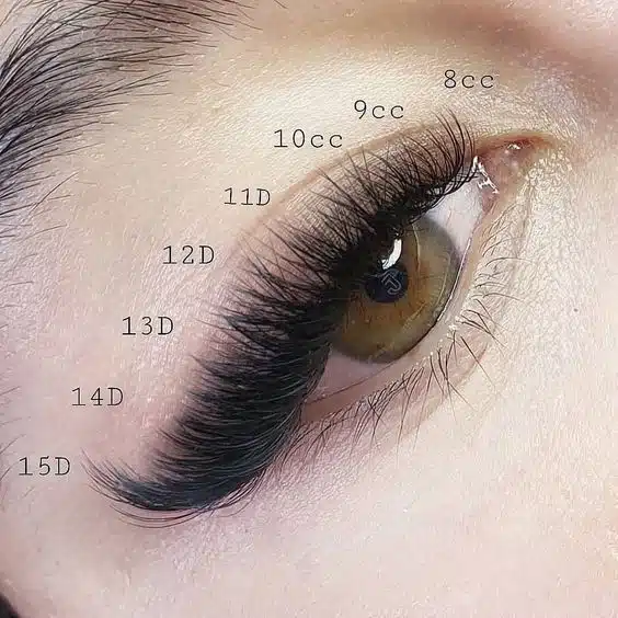 Lash Extension Curls Simplified: the Most Popular Ones cat eye D curl lash map