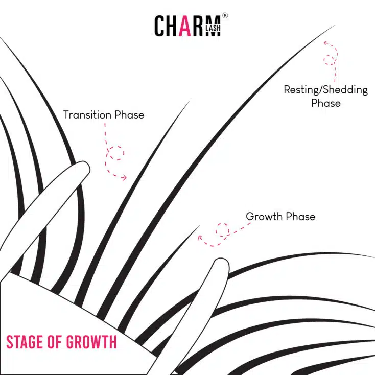 Eyelash Extension While Pregnant: Is It Safe? Lash Growth Circle