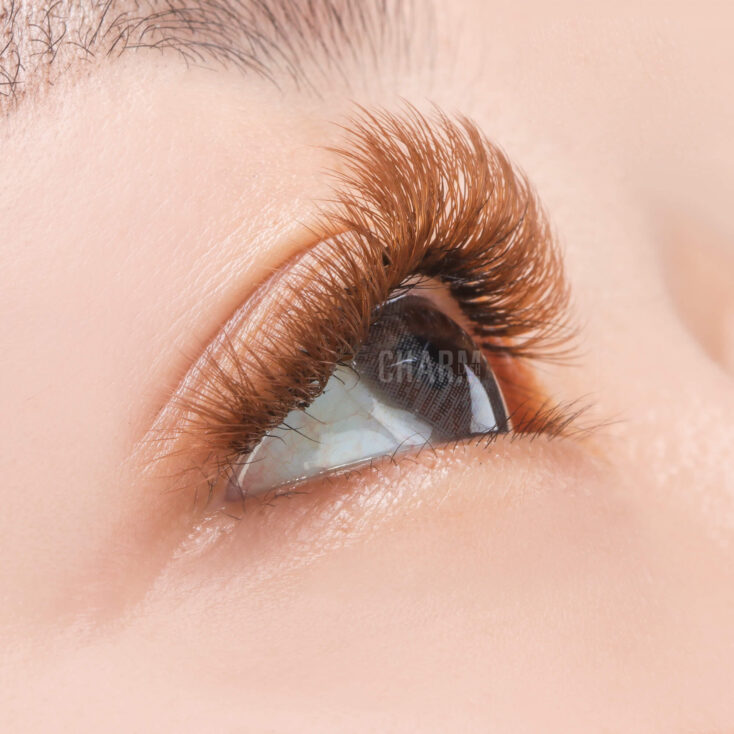 What’s New in Lash Trends 2024? Brown lashes outcome