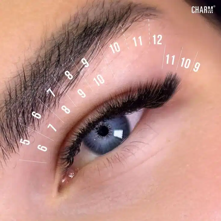 Eyelash Extension Style Chart: Everything about Lash Extensions Extreme fox eyes