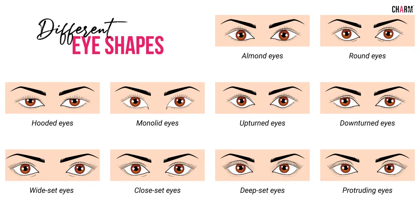 The best lash extensions for eye shapes Eye Shapes - charmlash