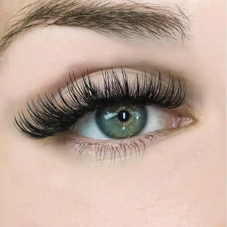 False Halloween Eyelashes: Top Unique Lash Styles to Glam Up Your Costume Premade wispy lashes for halloween
