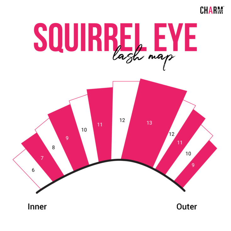 Eyelash Extension Style Chart: Everything about Lash Extensions Squirrel Eye Lash Map