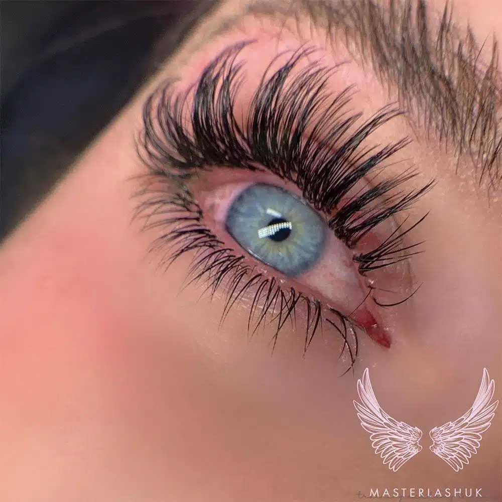 Bottom lashes