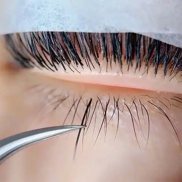 How to Apply Lash Extensions on Bottom Lashes? lower-lash-extensions