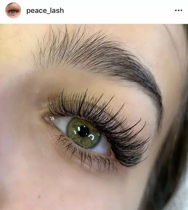 Eyelash Extension Style Chart: Everything about Lash Extensions open eye lash map